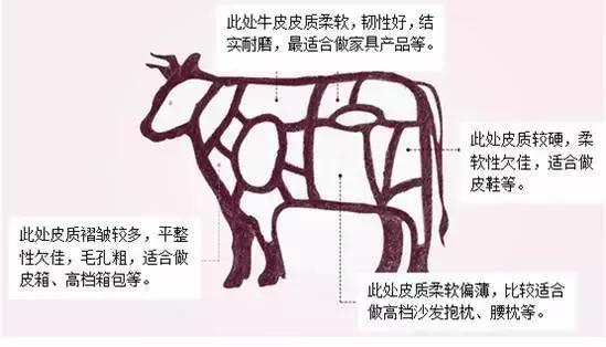 选购真皮衣,买皮衣选pu皮还是真皮好