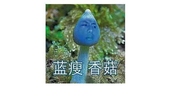 床垫怎么选买什么牌子的好,床垫怎么选选什么牌子的好