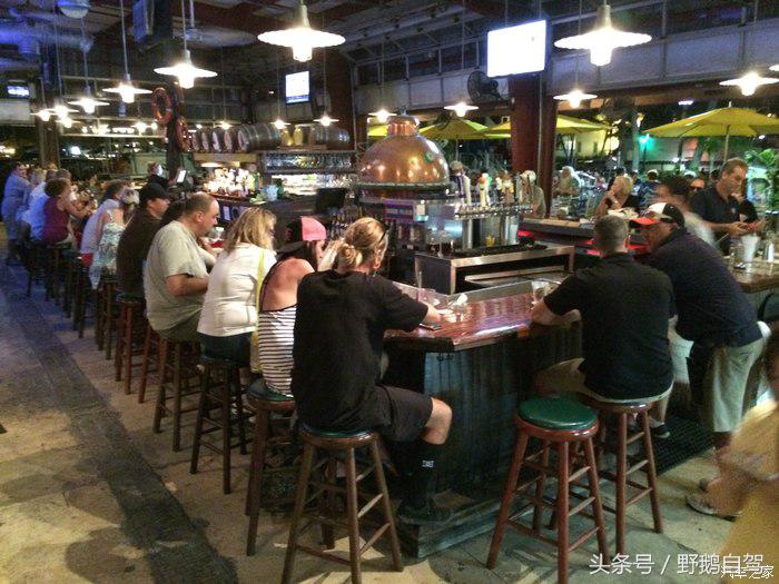 野鹅旅行,野鹅自驾无人区