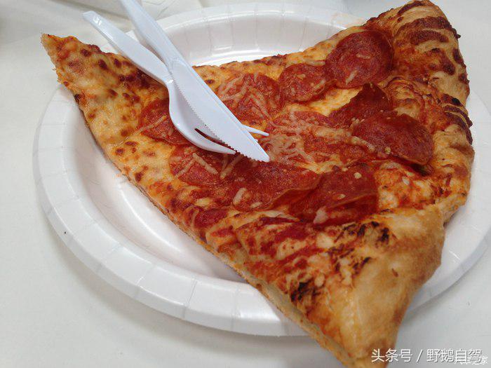 野鹅旅行,野鹅自驾无人区