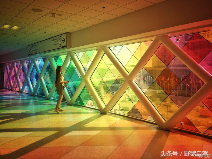 野鹅旅行,野鹅自驾无人区