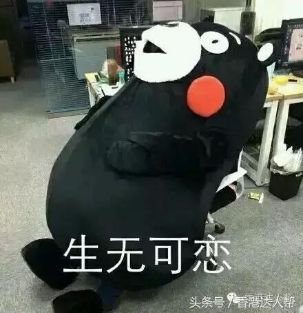 来香港需要的app,香港来大陆必用app