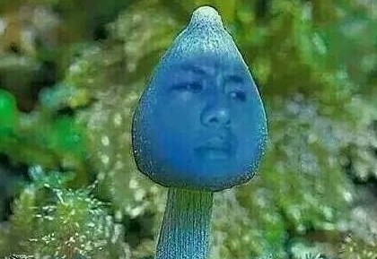 “御姐““萝莉”齐争艳，扒一扒北京水展上那些有创意的净水器