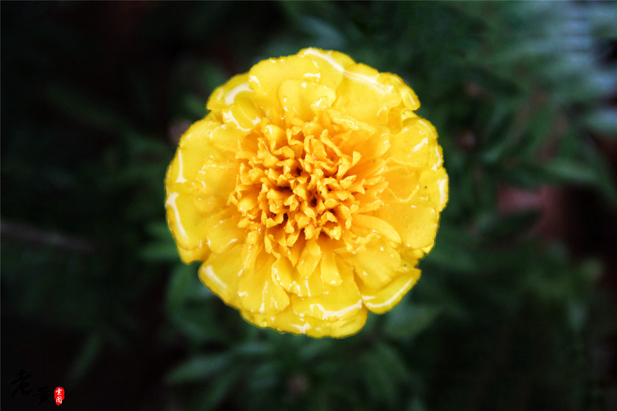 黔江小南海地震,黔江小南海地震遗址景区