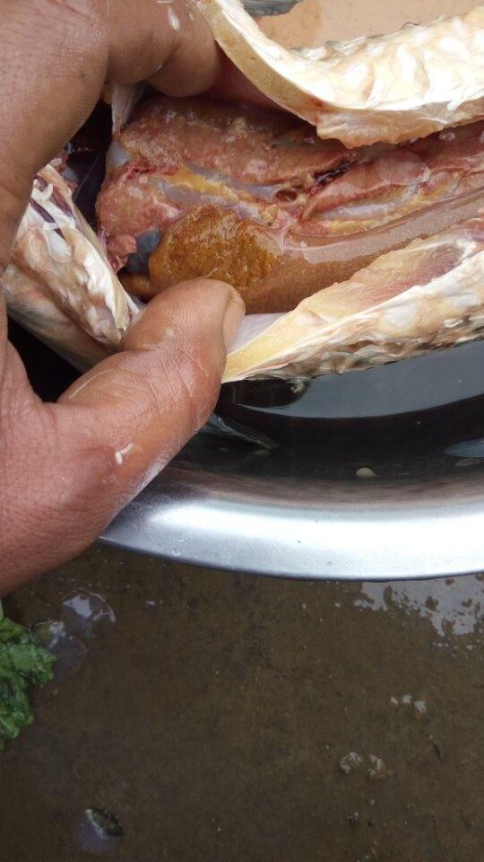 鲤鱼和草鱼怎样区分,鲤鱼还是草鱼好