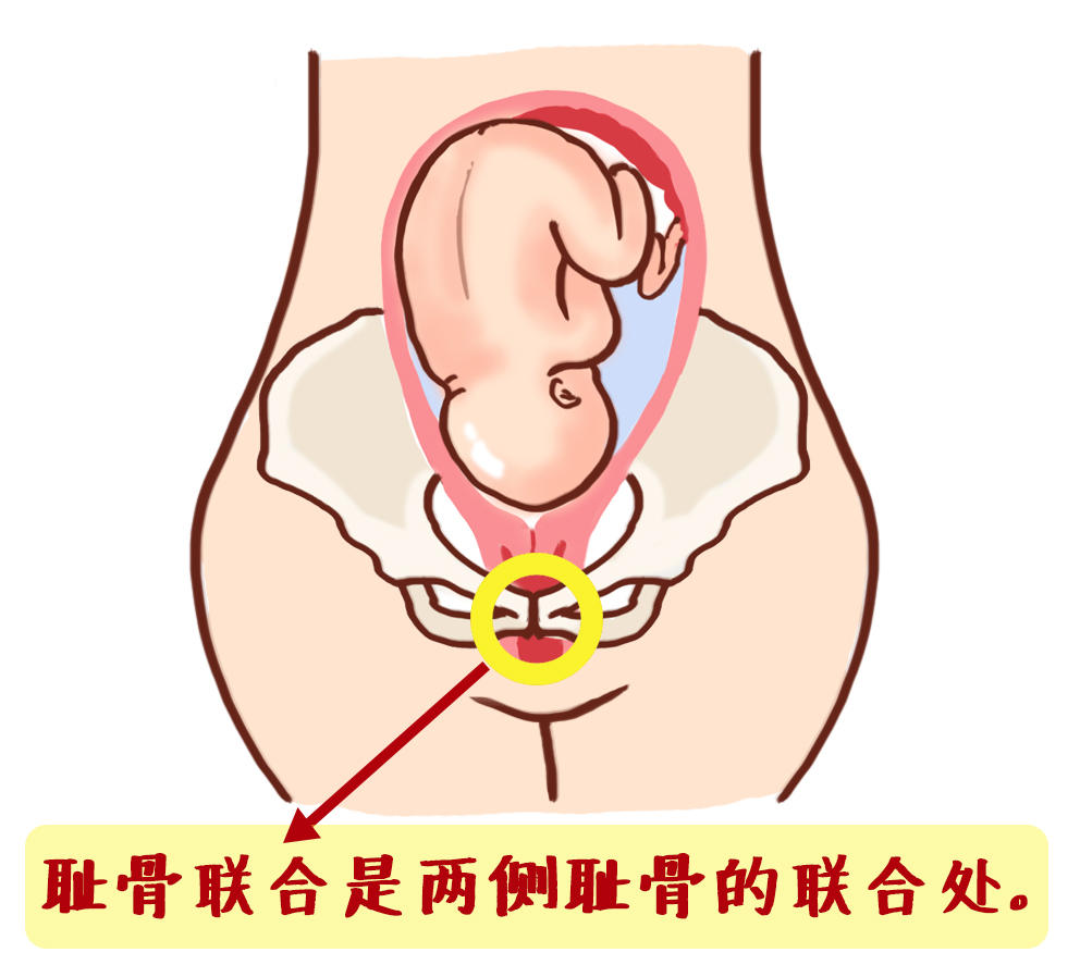 产检全过程详细讲解 (最全产检时间表新手妈妈必收藏)