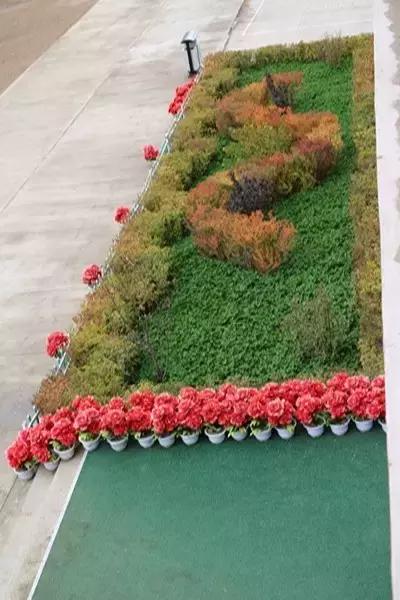 双鸭山市宝清县青原镇——金秋校园别样美