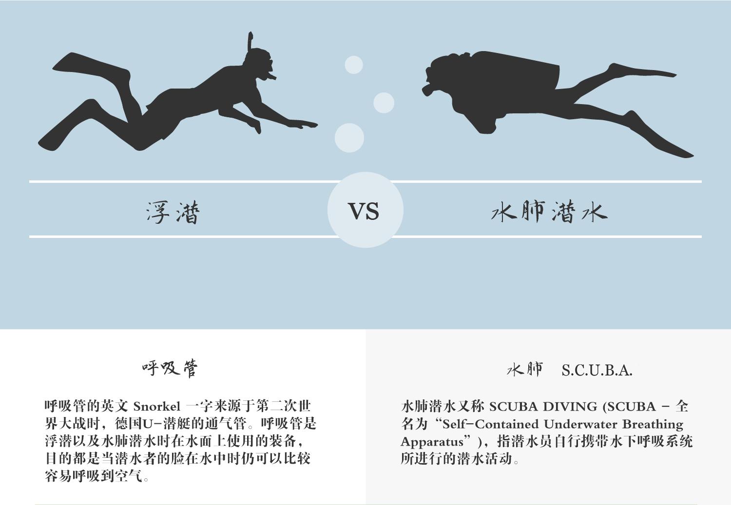 浮潜后可以水肺潜水吗,浮潜水肺潜水自由潜区别