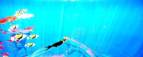 水肺潜水完能浮潜吗,水肺潜水和浮潜区别