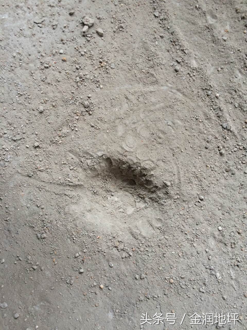 水泥稳定层摊铺多久洒水养护,前期防水没做好后面怎么补救