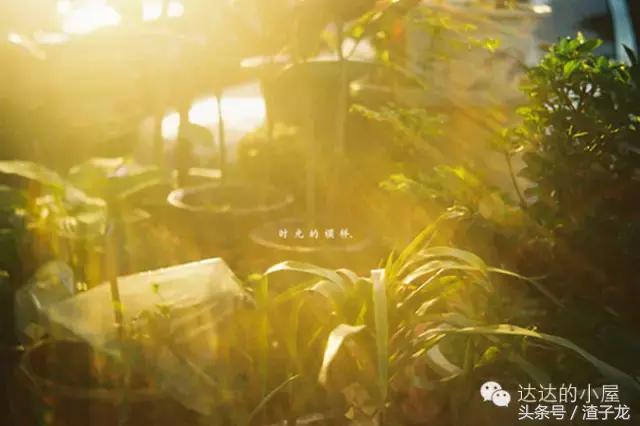 青春我说作文,青春的重要