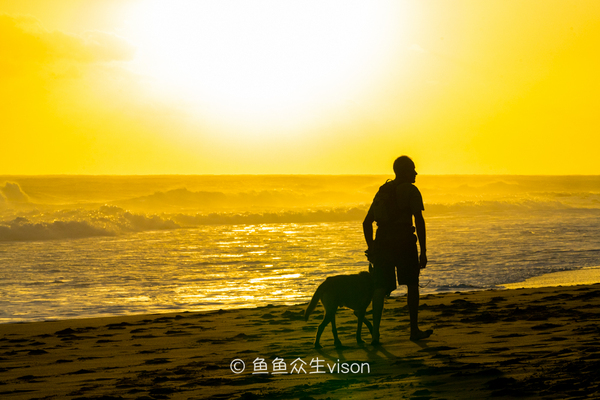 金银岛是真实存在的吗,金银岛神秘之谜