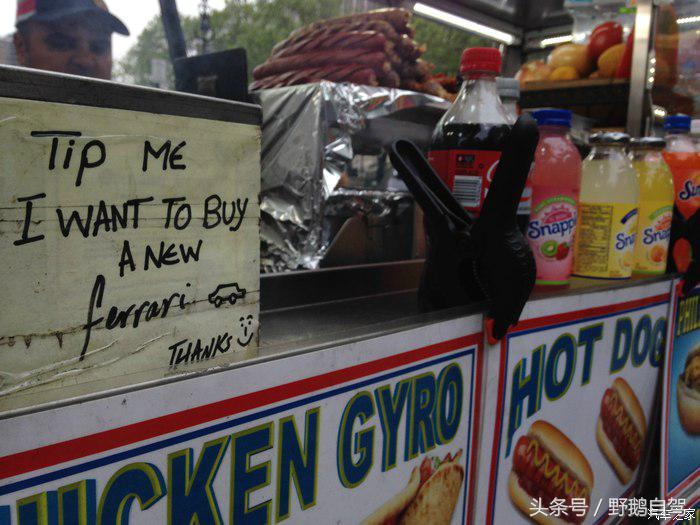 野鹅旅行,野鹅自驾无人区