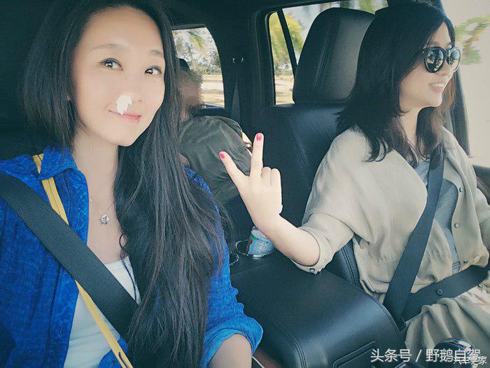 野鹅旅行,野鹅自驾无人区