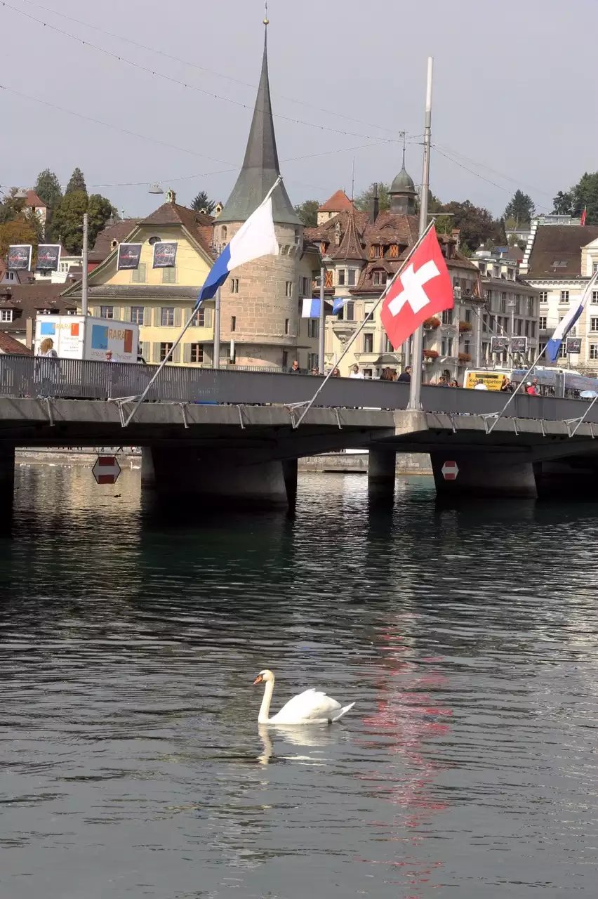 蓝瘦香菇在这里视频,蓝瘦香菇在法国