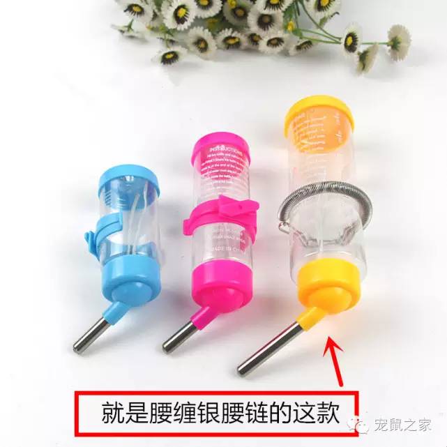 豚鼠各类饲养装备优缺点汇总之上篇