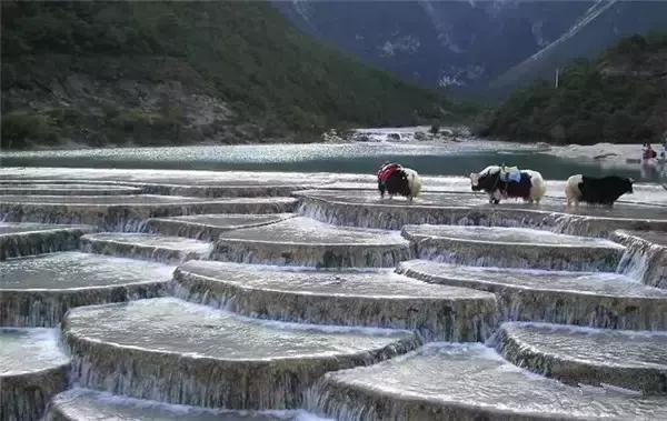 中国十大洗肺圣地,洗肺的地区有哪些