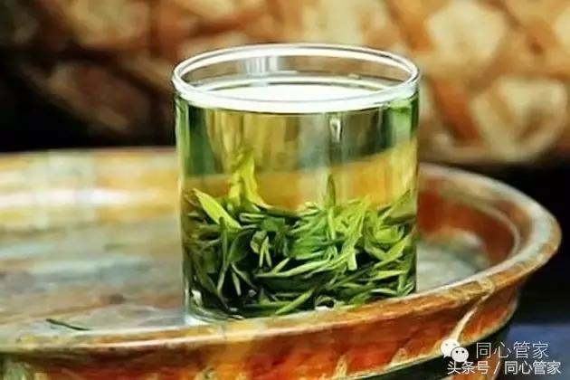 什么茶降三高心脑血管病,丹参保心茶要喝多久才能降三高