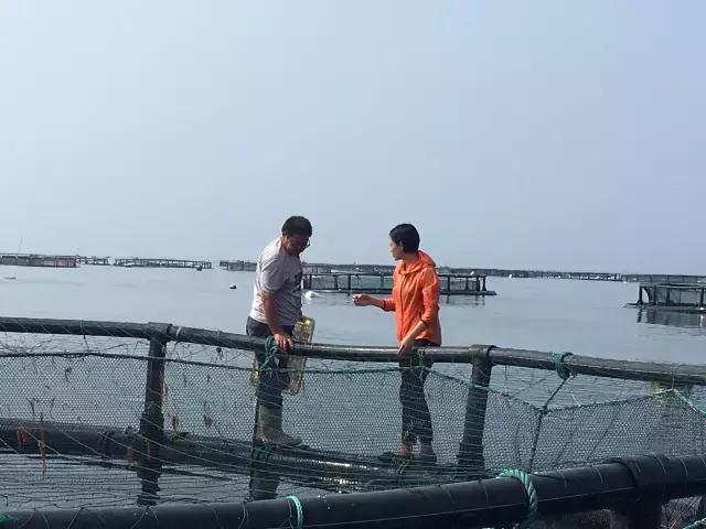 秦始皇长岛,蓬莱仙岛秦始皇