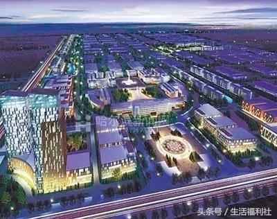 什么能够代表哈尔滨,哈尔滨代表人