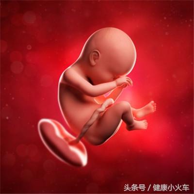 怀孕期第5周吃了孕妇禁用药,怀孕期第2次核酸检测什么时候来