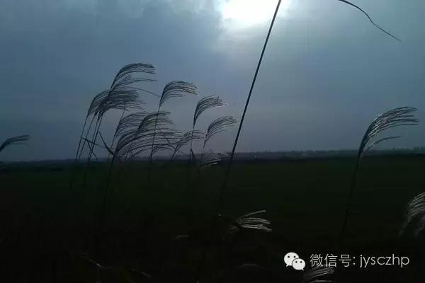 写给母亲的千古情,写给母亲的百封家书