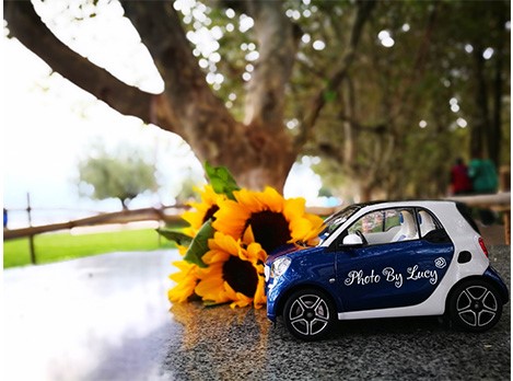 他们都以为我开smart去大理了...蓝鹅事实是...