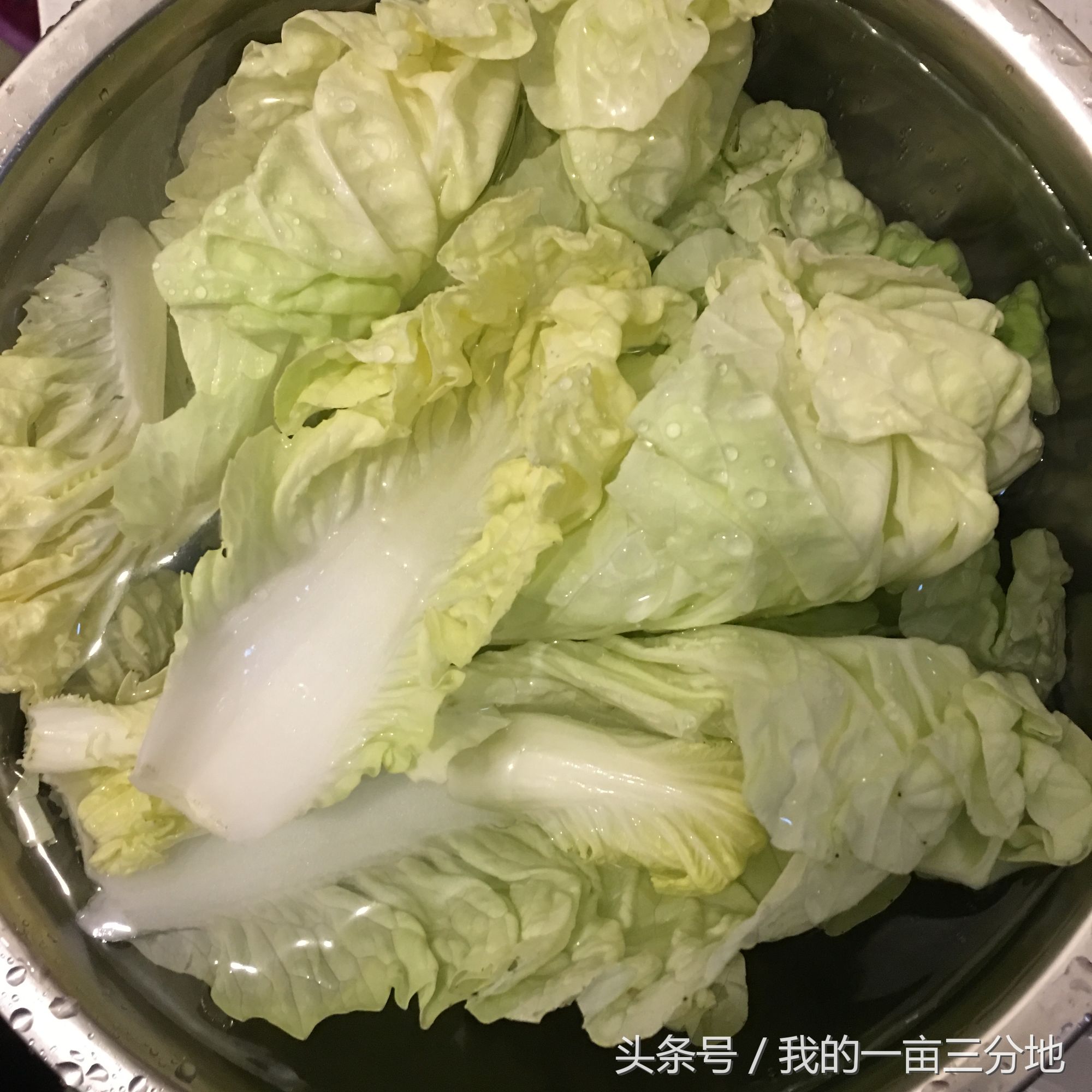 豆腐海带白菜汤的做法大全,海带金针菇白菜汤的做法大全