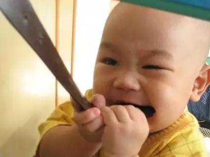 怎么辨别皮革的真假,认识人造革与真皮