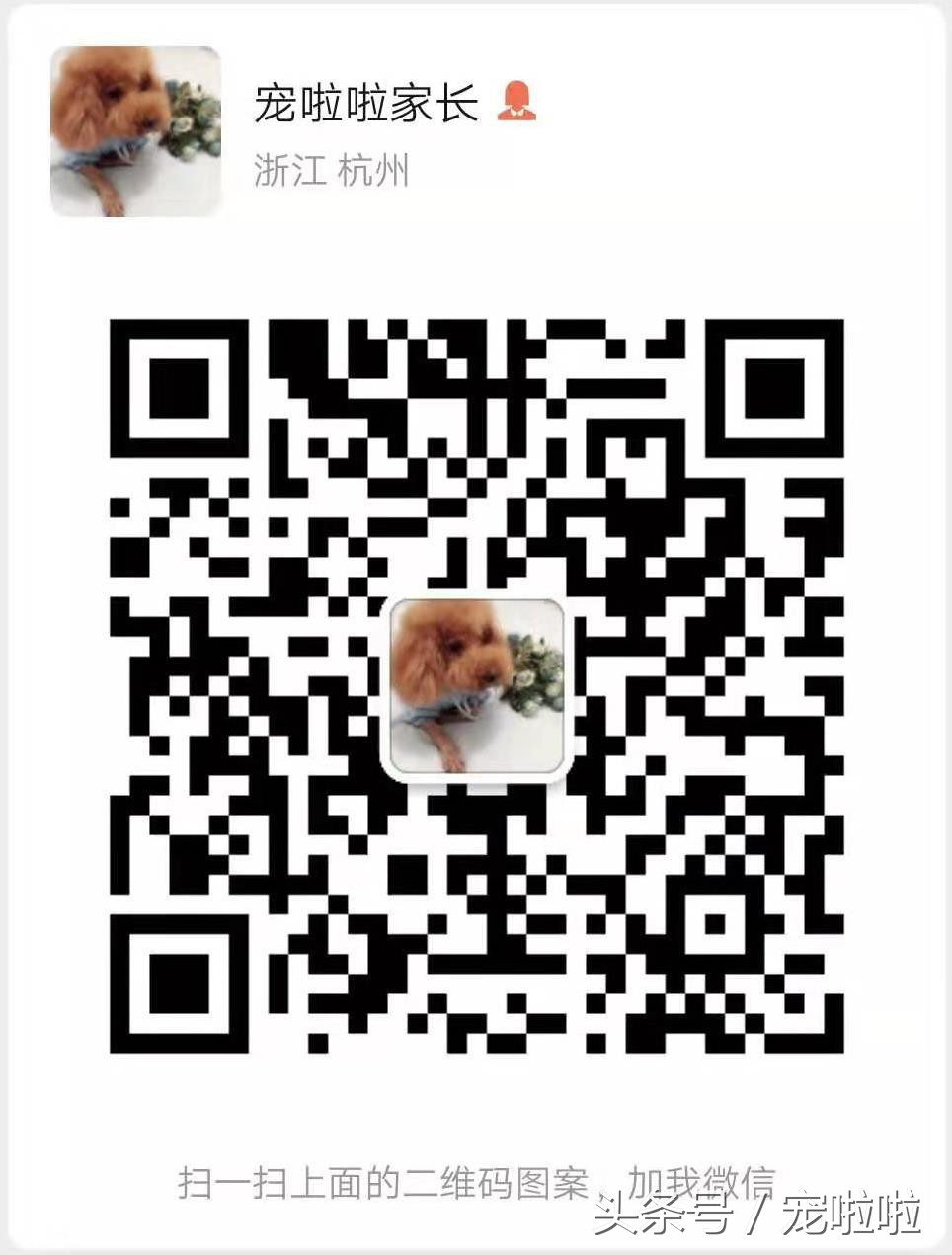 狗狗皮肤病治疗常用药,狗狗常用药必备大全