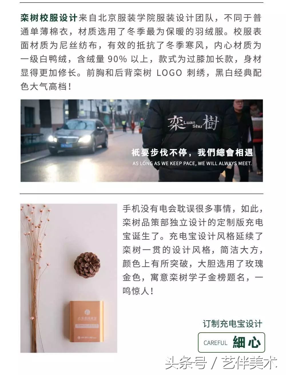 栾树画室北京,栾树画室有集训吗