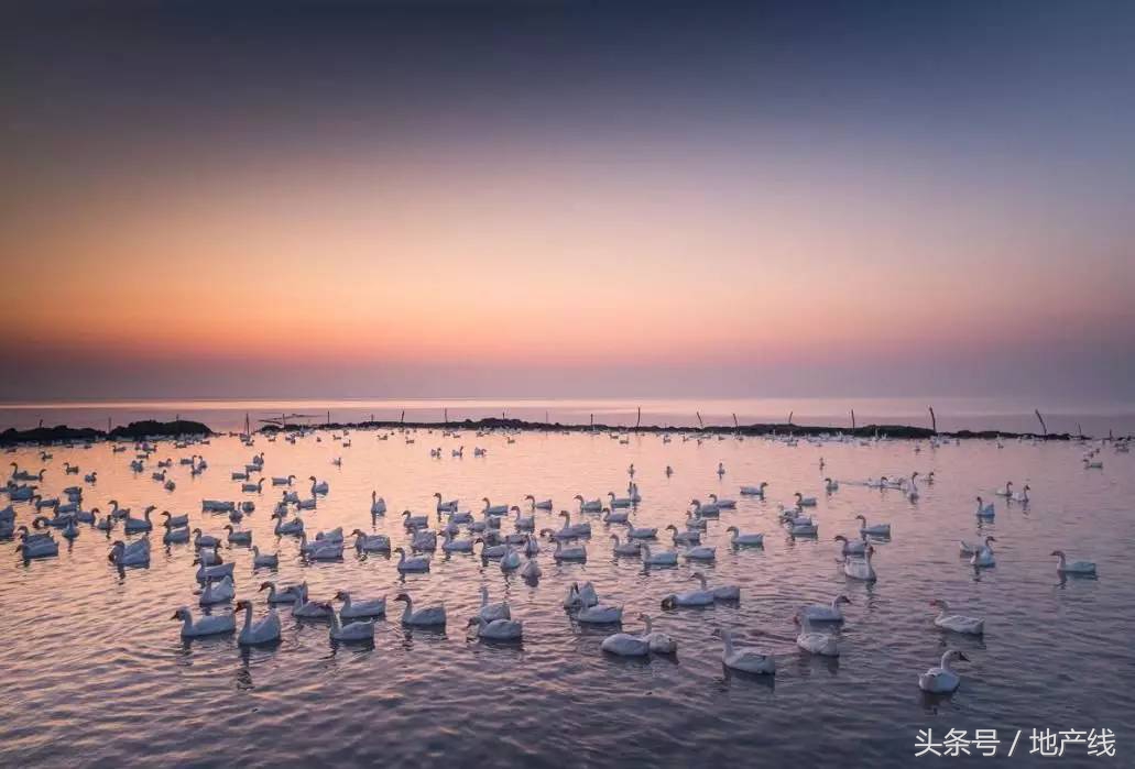 鍝佸懗鐢熸椿涓殑浼犵粺鏂囧寲鎰熸偀,鍝佸懗鐢熸椿鎰熸偀浜虹敓鍝茬悊