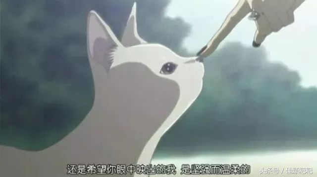 情人节这样过才实惠,情人节每天都过