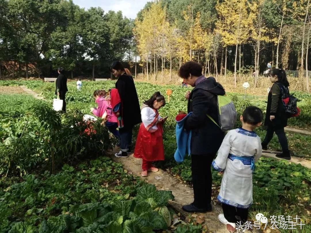 成功的休闲农庄需要具备哪些条件,做休闲农庄必须考虑的几个问题