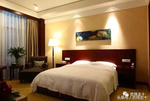 休闲农庄7大盈利模式,休闲农庄有什么前景吗