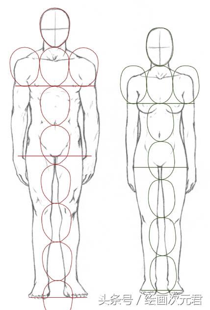 人体结构动态临摹练习册,人体结构怎么画才不僵硬