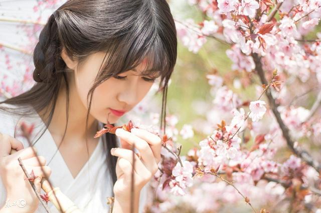 小说：先在安王府捞点钱，顺便教训一下大猪蹄子