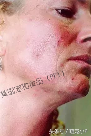 怎样预防狗狗得螨虫病,所有的狗狗都有病毒吗