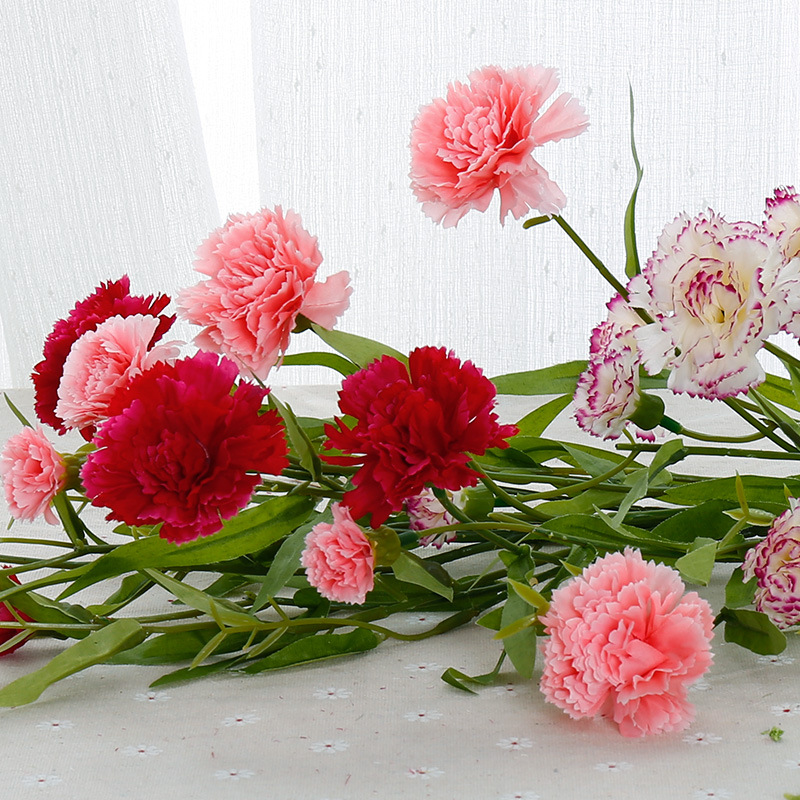 又香又适合阳台养的花,什么带香味的花室内养好看