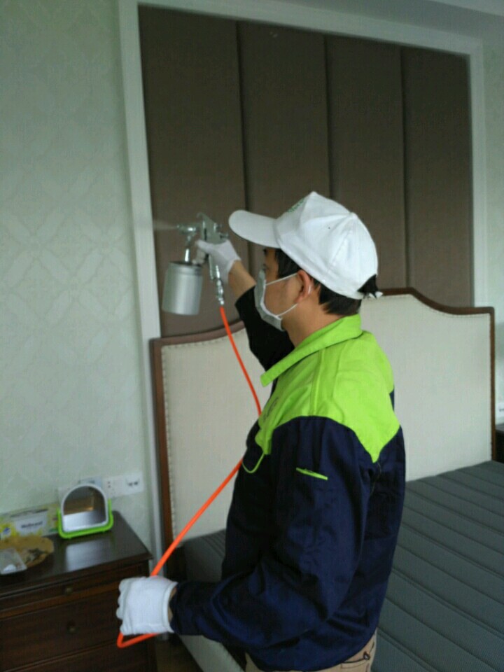 为什么除甲醛之前要关门窗,室内除甲醛杀手