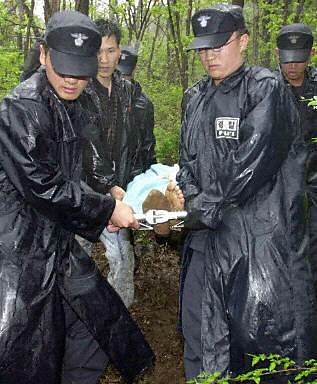 中国客机在韩国坠毁事故分析,中国客机釜山坠机事件