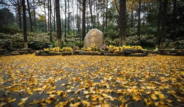 南京一定要去的山,南京值得去的山