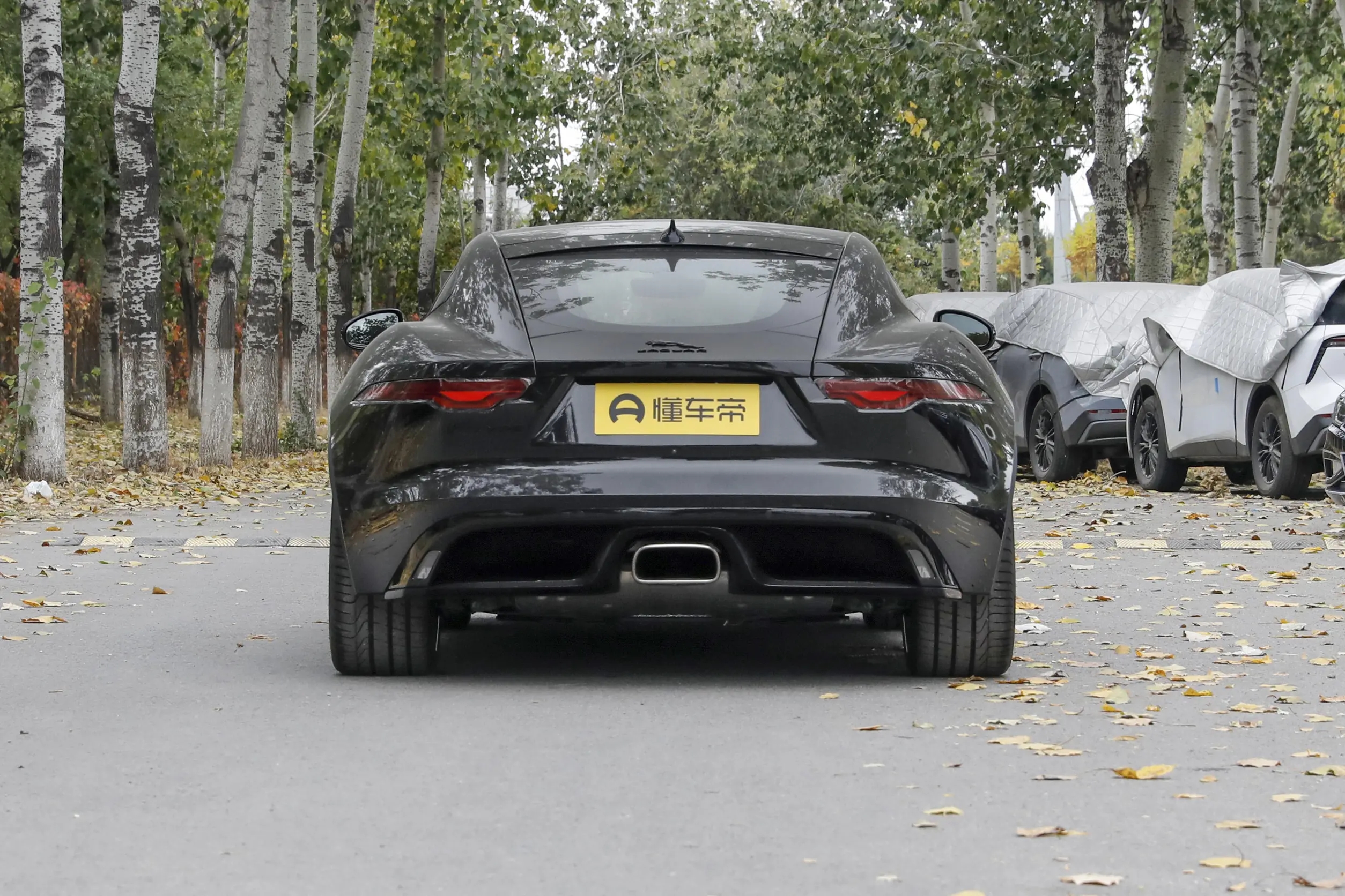 最新款捷豹跑车f-type,大气又运动新款捷豹f-type实车