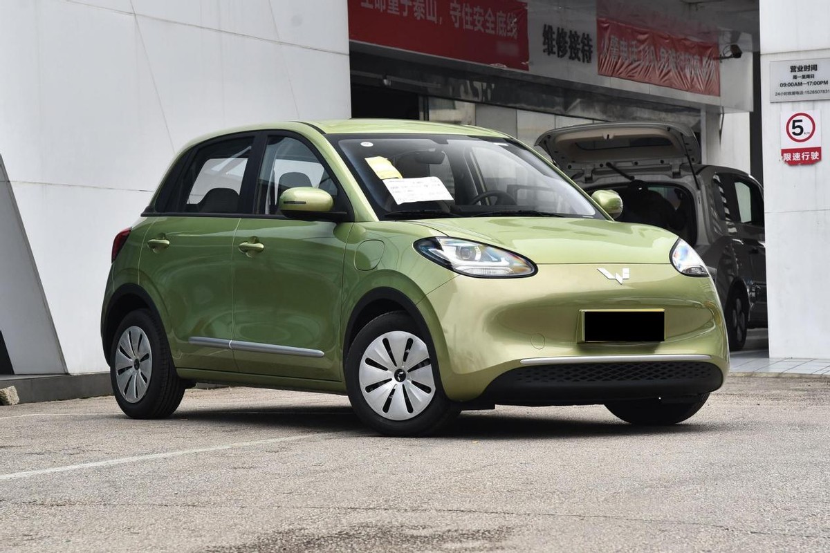 十万左右比亚迪纯电车推荐,十万落地的新能源纯电动汽车