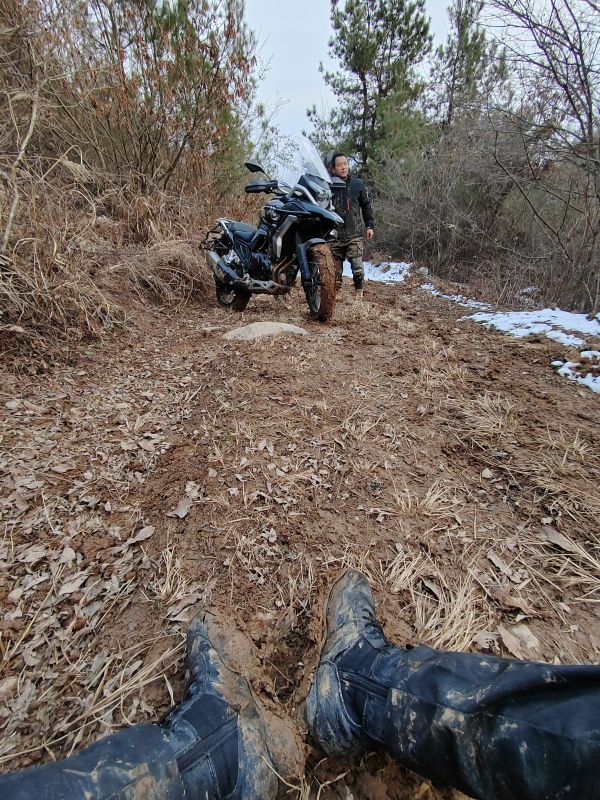 凯越500x和dl250怎么选,凯越500x经典版和单摇臂区别