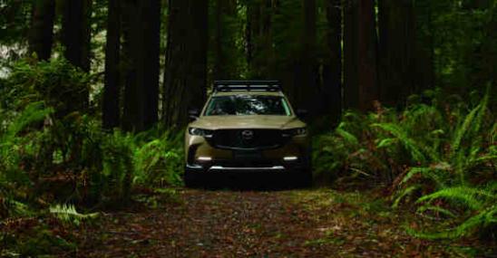 cx50领行版广州,cx-50行也尊行版