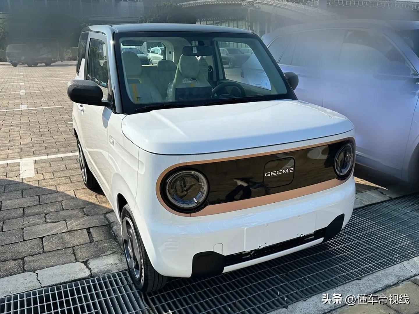 吉利熊猫mini新春版售价,吉利熊猫mini电动汽车会再降价吗
