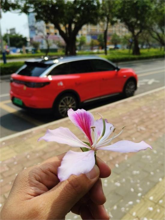 小型新能源汽车零跑,新能源车零跑对比