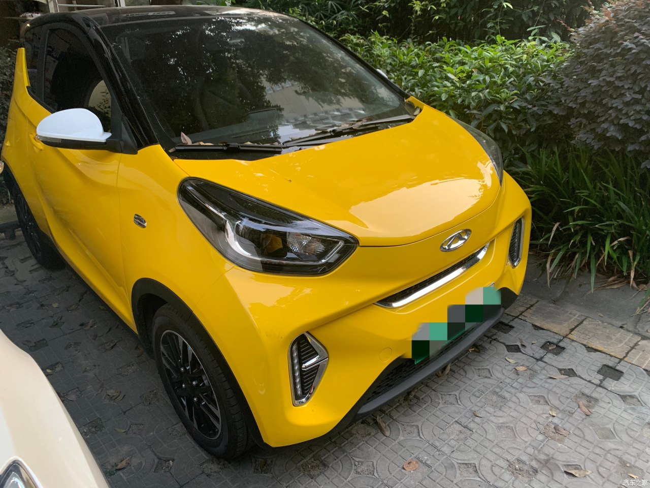 小蚂蚁超能力,小蚂蚁超高配