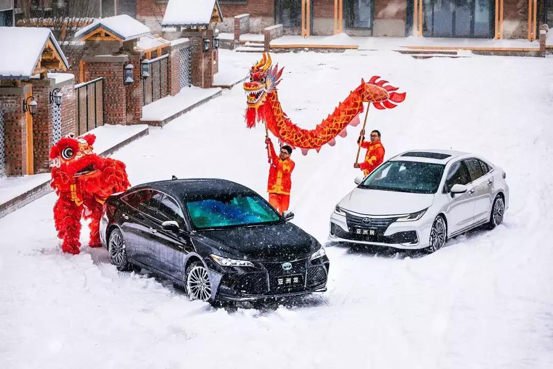 亚洲龙气势,亚洲狮五项全能